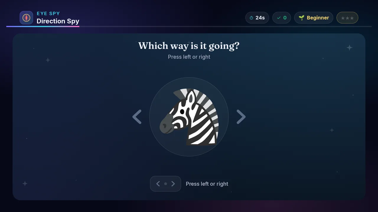 Direction Spy full screenshot