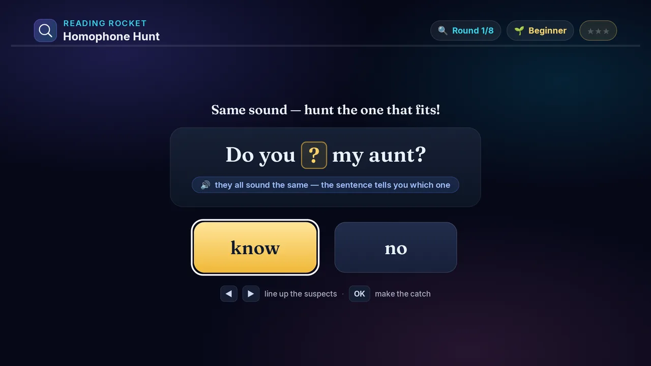 Homophone Hunt full screenshot