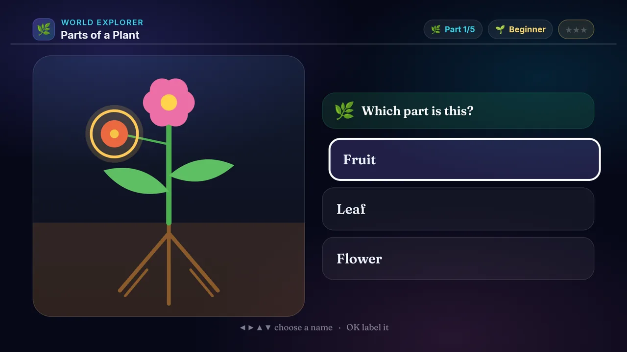 Parts of a Plant full screenshot