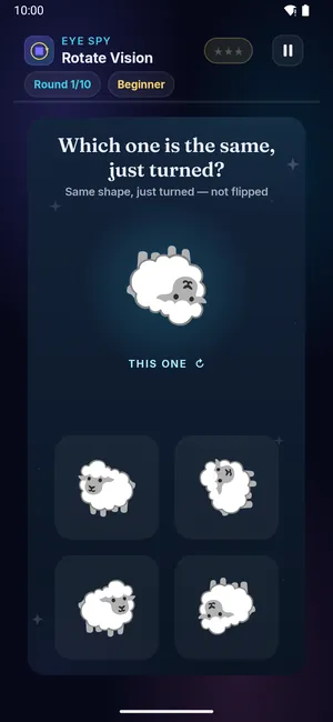 Rotate Vision on a phone