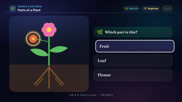 Parts of a Plant on a television