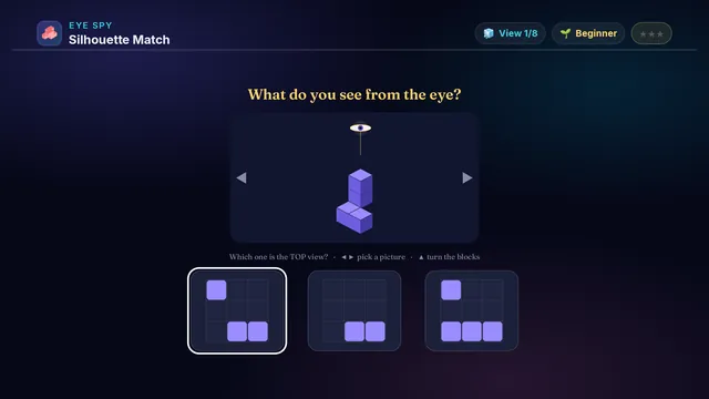 Silhouette Match on a television